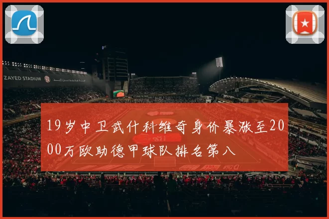 19岁中卫武什科维奇身价暴涨至2000万欧助德甲球队排名第八